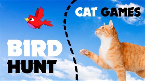 CAT GAMES ON SCREEN .